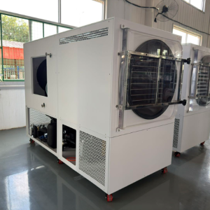 Máy sấy đông khô lớn, buồng sấy thép không gỉ, vỏ thép sơn tĩnh điện 40kg/mẻ